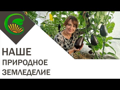 Наше природное земледелие (г. Минск)