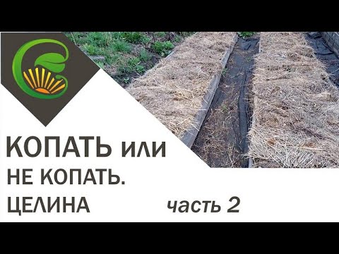 Копать или не копать? Часть 2.  Целина.