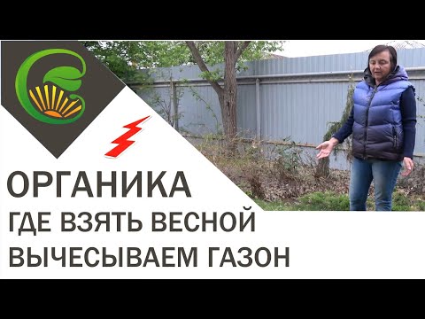 Органика - где её взять ранней весной