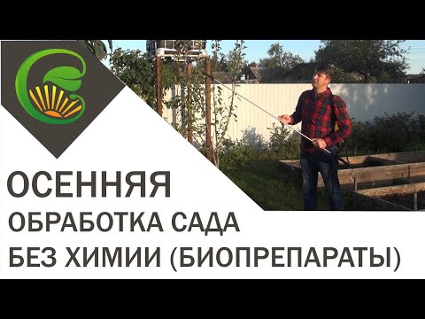 Осенняя обработка сада без химии (биопрепараты)