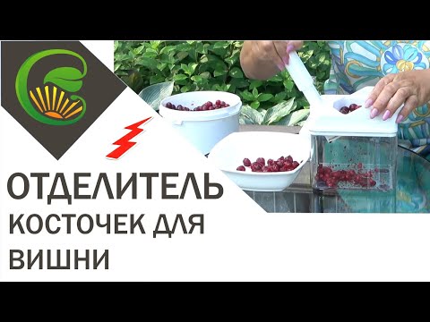 Отделитель косточек вишни