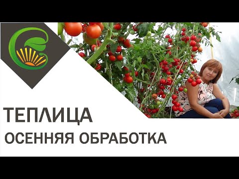 Теплица  Осенняя обработка