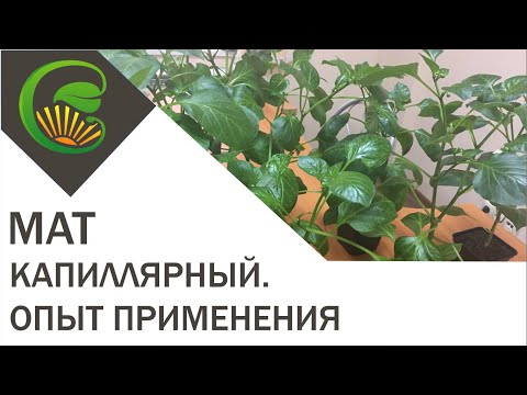 Капиллярный мат Опыт применения
