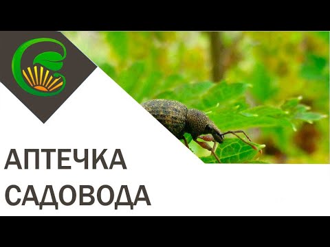 Аптечка садоводов. Удобно и эффективно