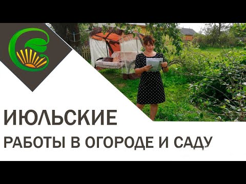 Июльские работы в саду