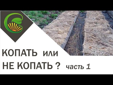 Копать или не копать  Часть 1