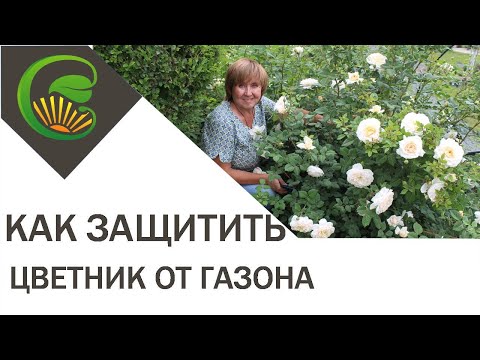 Бордюрная лента  Как защитить цветник от газона 1