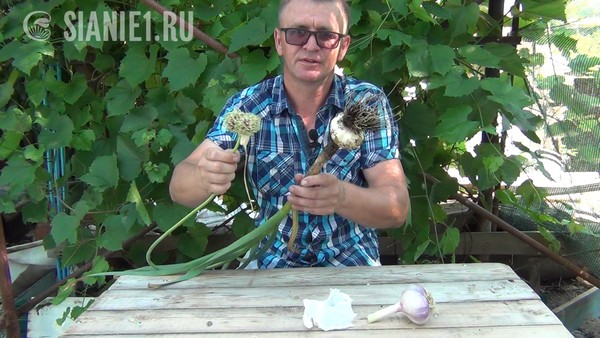 Снимок - 24.jpg