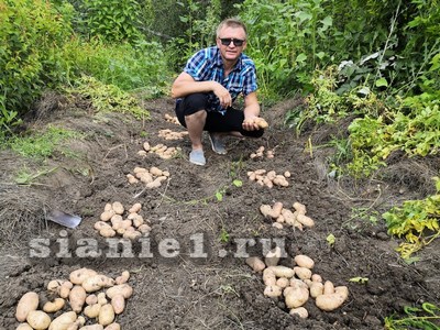 титульная 2.jpg