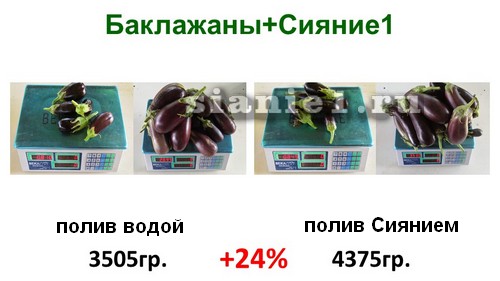 Актобе опыты Москва 19г..jpg