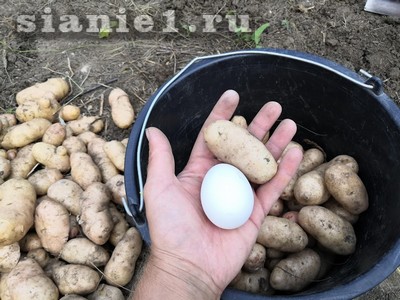 титульная.jpg