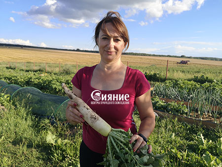daikon1.jpg