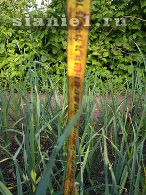IMG_20180609_191618.jpg