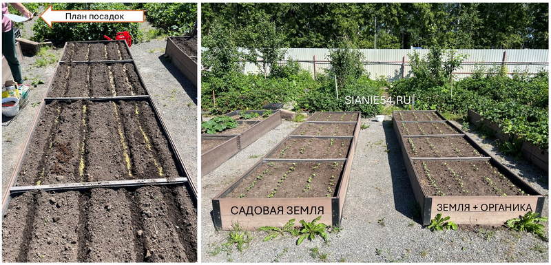Слайд2.jpg