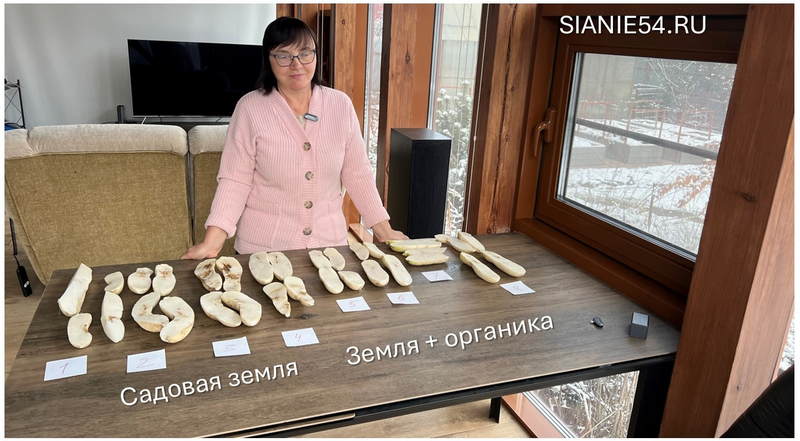 Слайд5.jpg