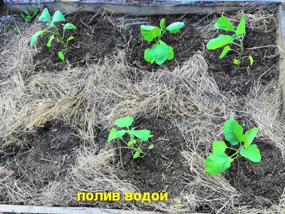 IMG_20190511_171942.jpg