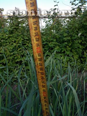 IMG_20180609_191557.jpg