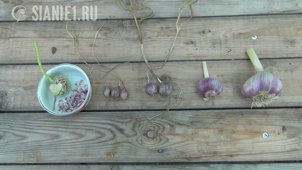 Снимок - 23.jpg