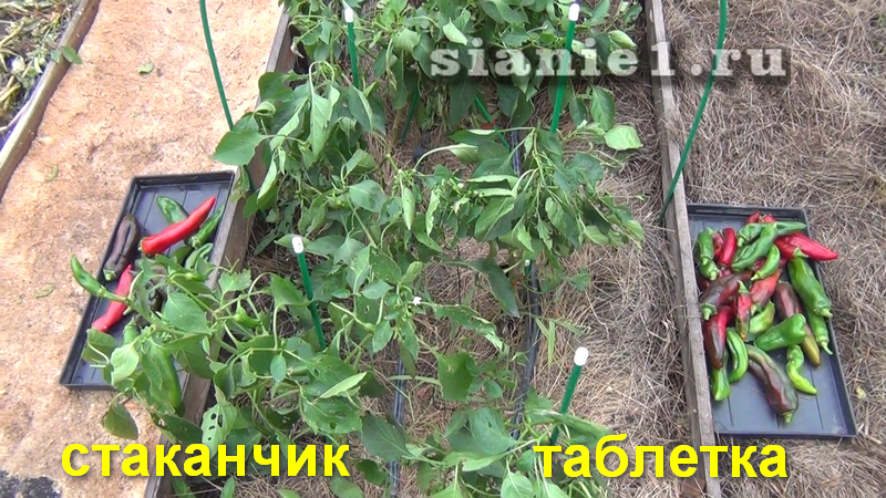 Снимок - 16.png