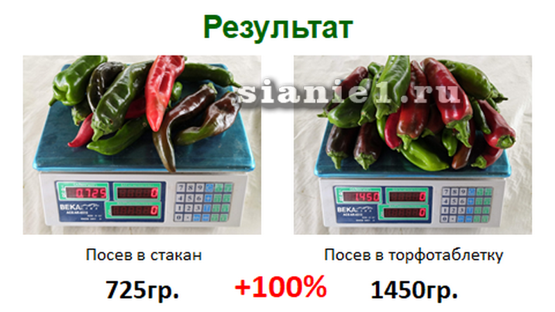 image111.png