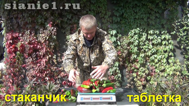 Снимок - 2_20.png