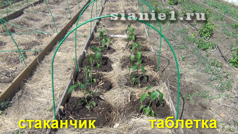 Снимок - 2.png