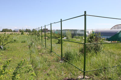 zabor-25.jpg zabor-25.jpg