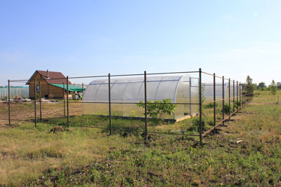 zabor-37.jpg zabor-37.jpg