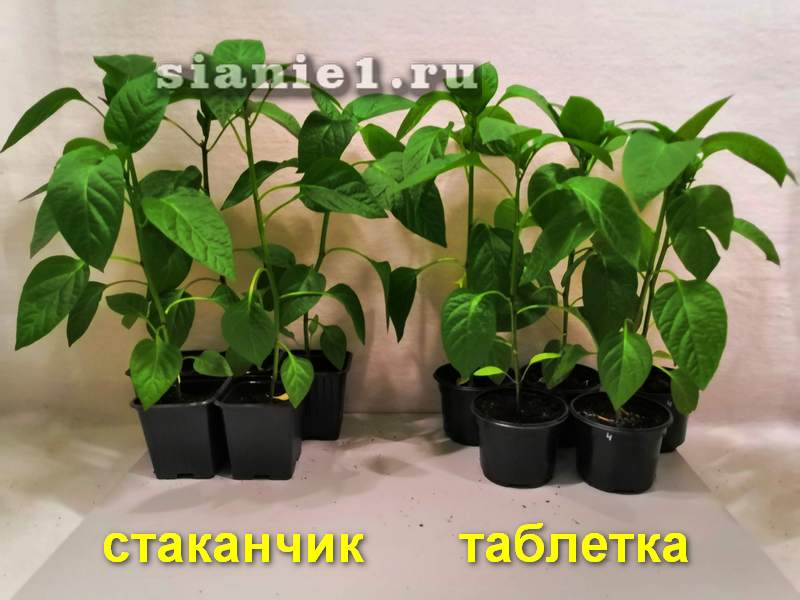 IMG_20190507_235308.jpg