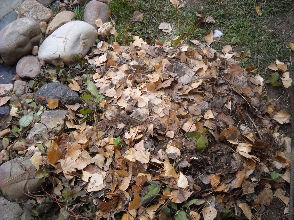 DSCN7856.JPG