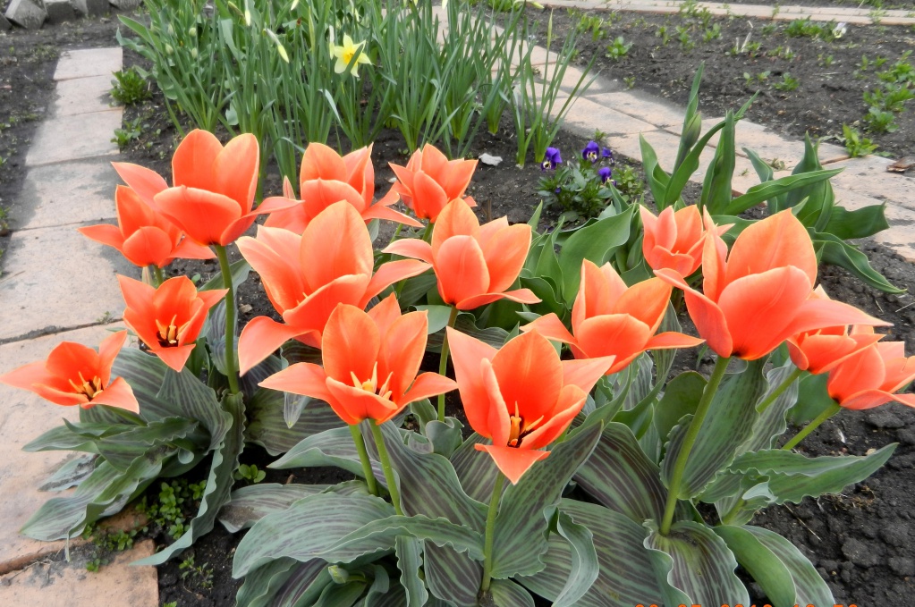 DSCN3270.JPG