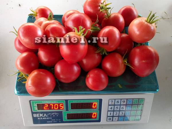 IMG_20180906_190605.jpg