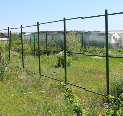 zabor-56.JPG