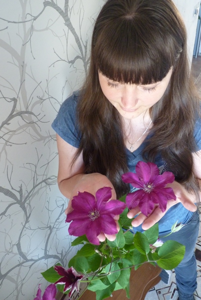 clematis7.jpg