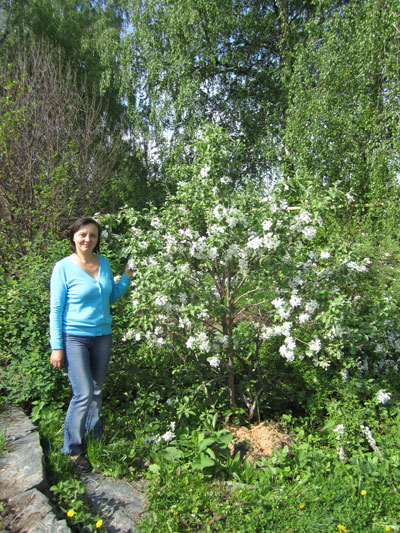 zabor-53.jpg zabor-53.jpg