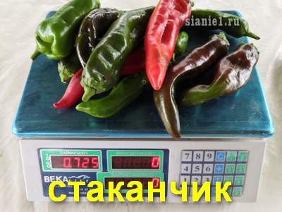 IMG_20190922_122105.jpg