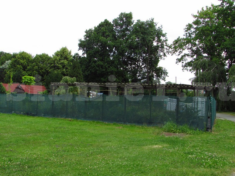 легий забор.JPG