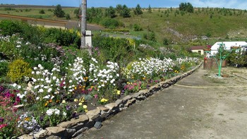 altay-3.jpg altay-3.jpg
