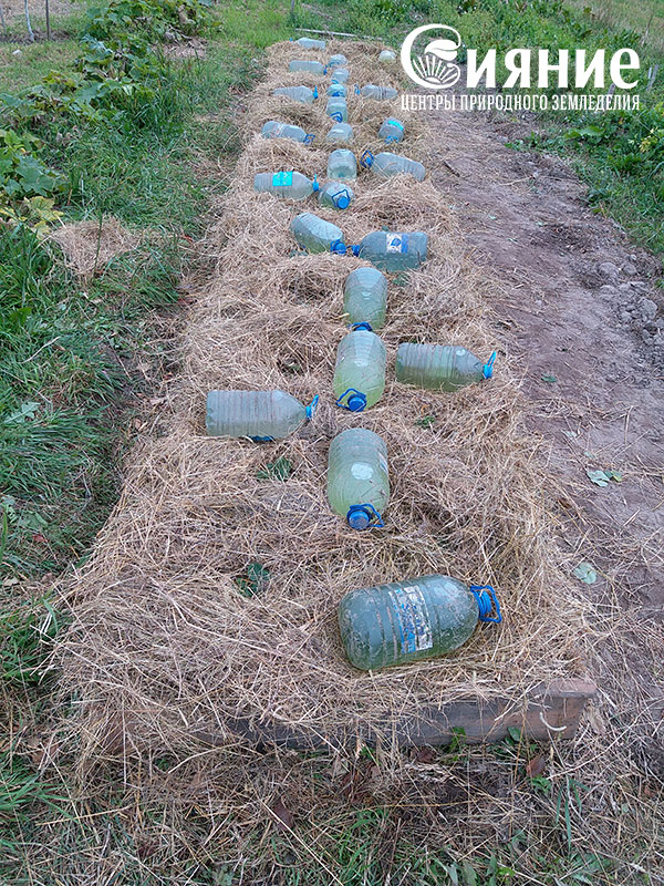 teplaia-griadka-19.jpg teplaia-griadka-19.jpg