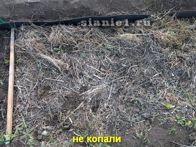 IMG_20180602_193320.jpg