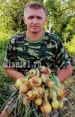 лук.jpg