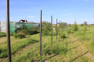 zabor-55.JPG