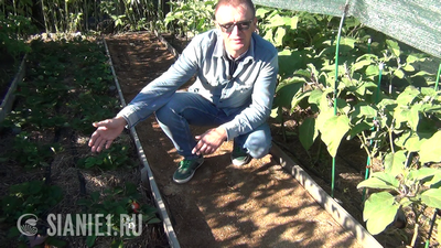 Снимок - 28.png