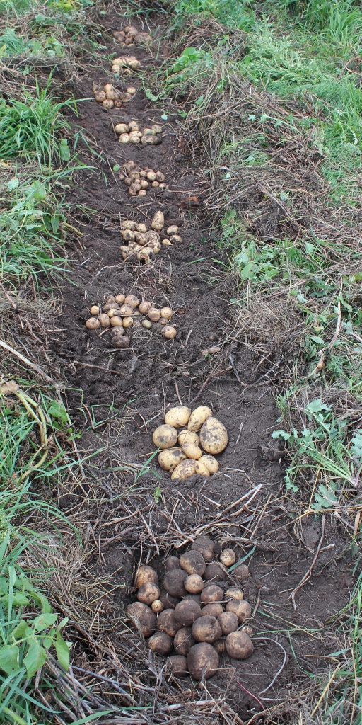 2015-09-06 13-01-50.JPG