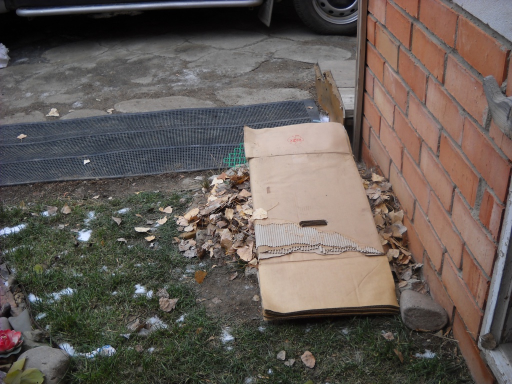 DSCN7858.JPG