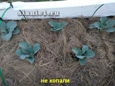 IMG_20180626_211805.jpg