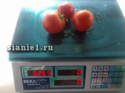 265 гр..jpg