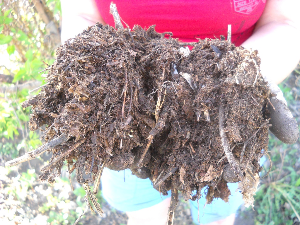 Хоть сам ешь.JPG