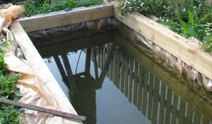 346.jpg
