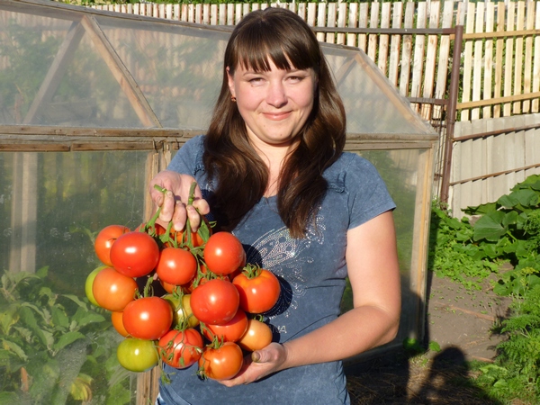 tomat1.jpg tomat1.jpg